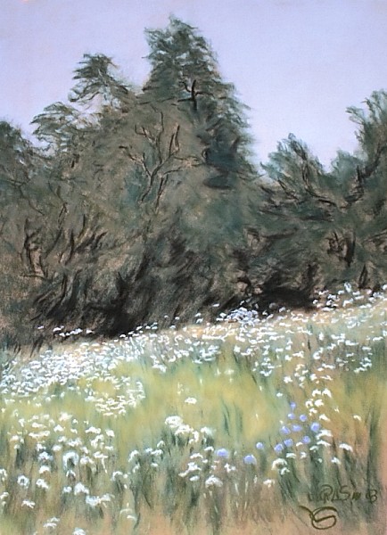 048 Prairie.jpg - Verts (60x80 cm)   &nbsp;Vendu&nbsp; 